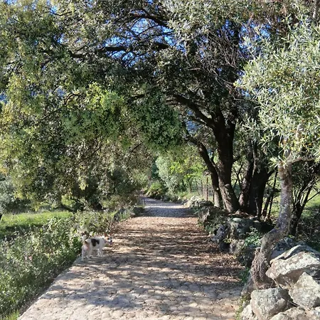 Rural Inz-almaraz Jimera de Líbar